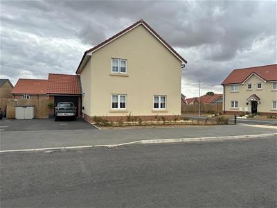Picture 25